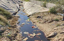 你對午夜理论视频网站滲濾液還存在怎樣的誤區？