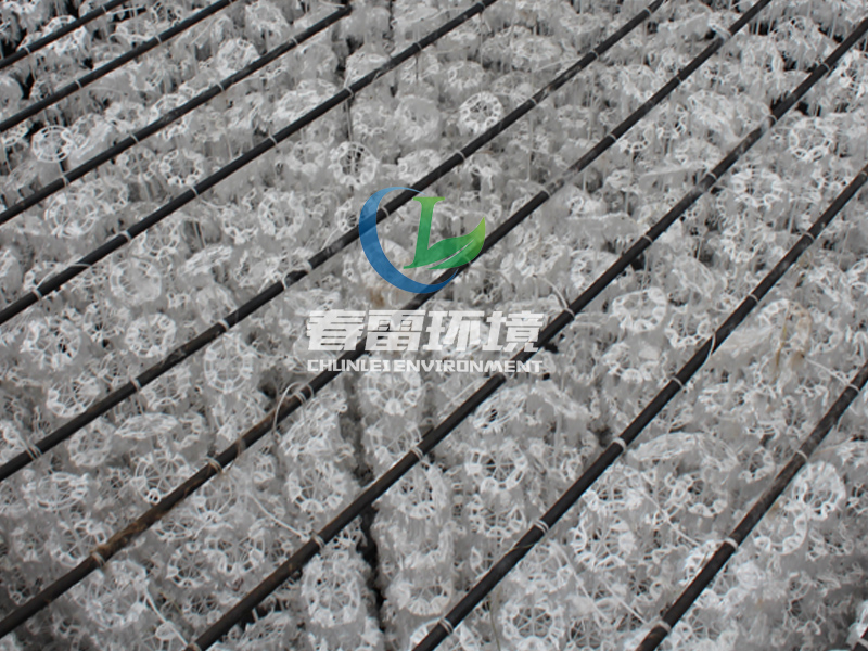 午夜理论视频网站滲濾液處理公司簡述午夜理论视频网站滲濾液具體從何而來